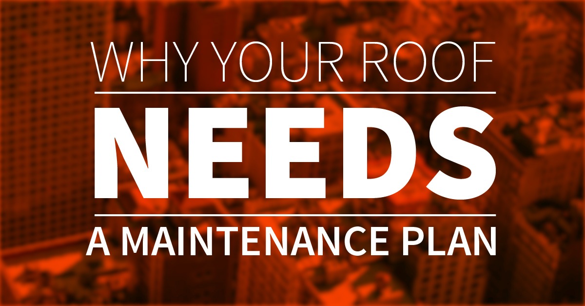 Why Your Roof Needs a Maintenance Plan