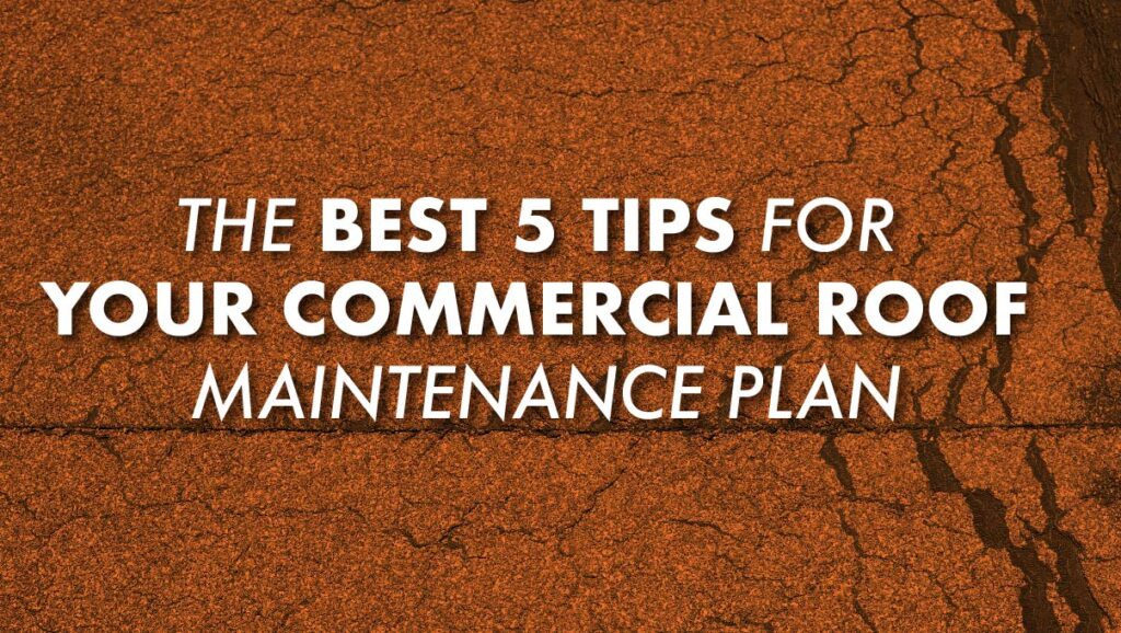 The Best 5 Tips For Your Commercial Roof Maintenance Plan