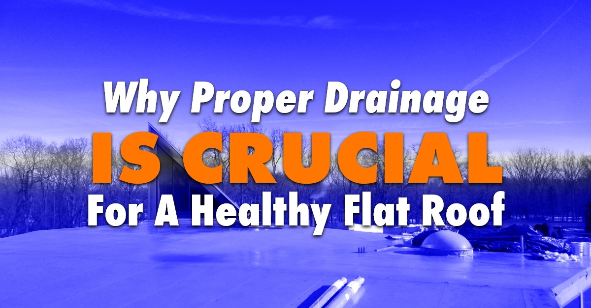 Why Proper Drainage Is Crucial For A Healthy Flat Roof