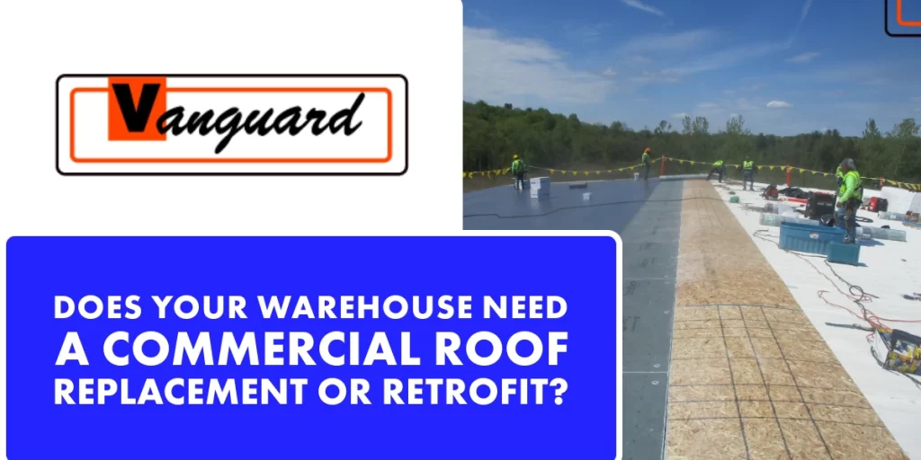 Marketing image asking about commercial roof replacement with Vanguard logo