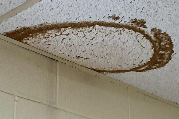 Water-stained commercial ceiling tile showing active roof leak damage requiring emergency repair