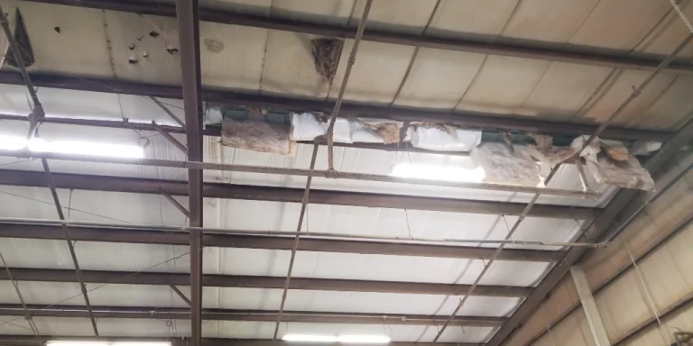 Water-damaged insulation and deteriorated ceiling materials inside a commercial building caused by a roof leak.