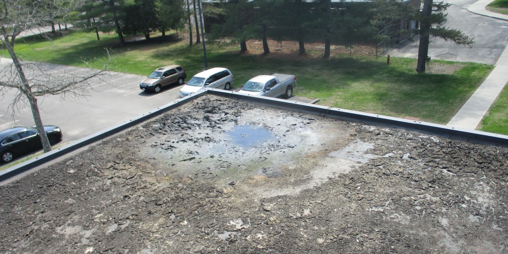 Aerial view of a commercial flat roof showing ponding water near the center, with a parking lot and trees visible below.