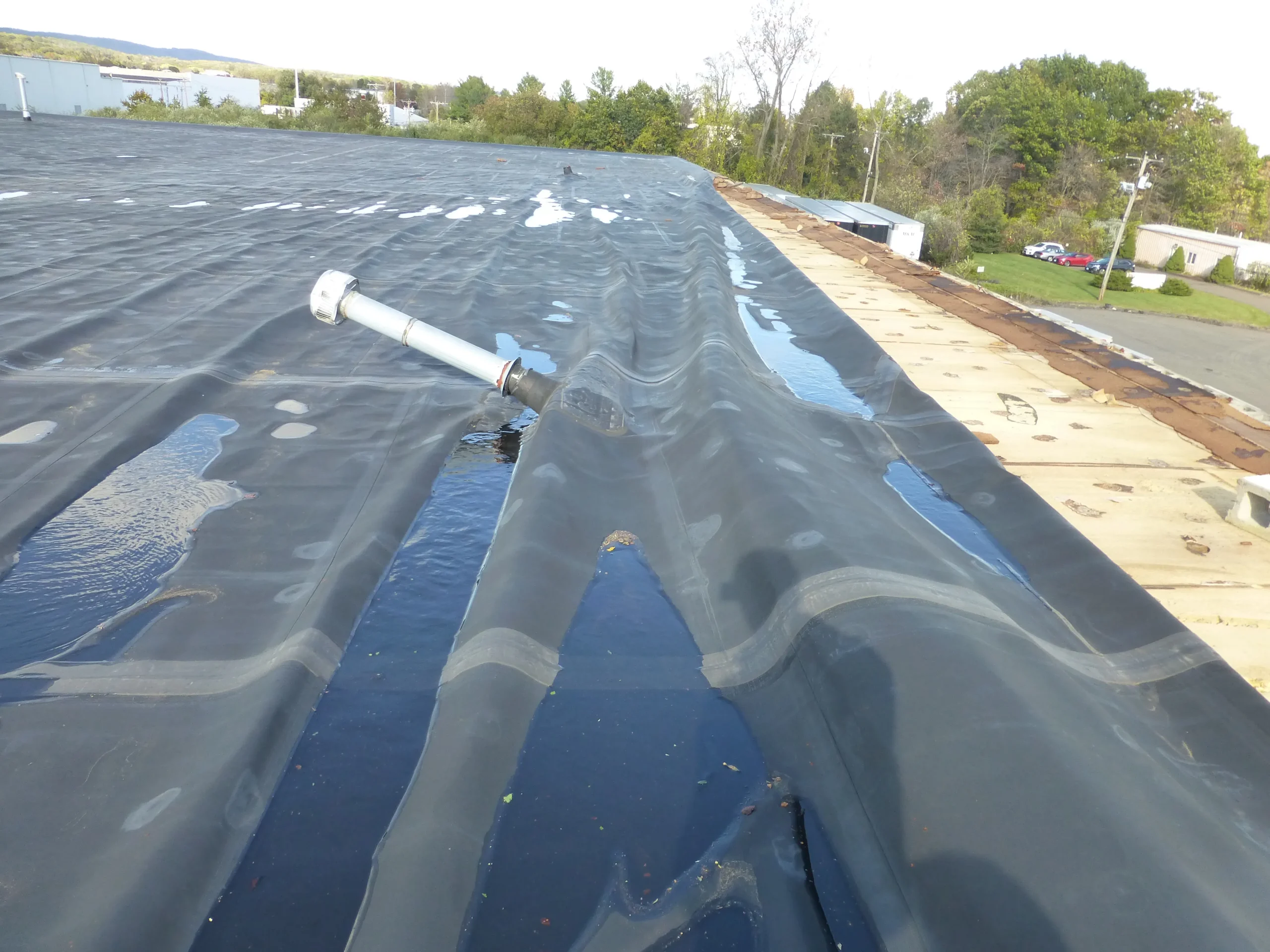 storm damaged flat roof in Springfield