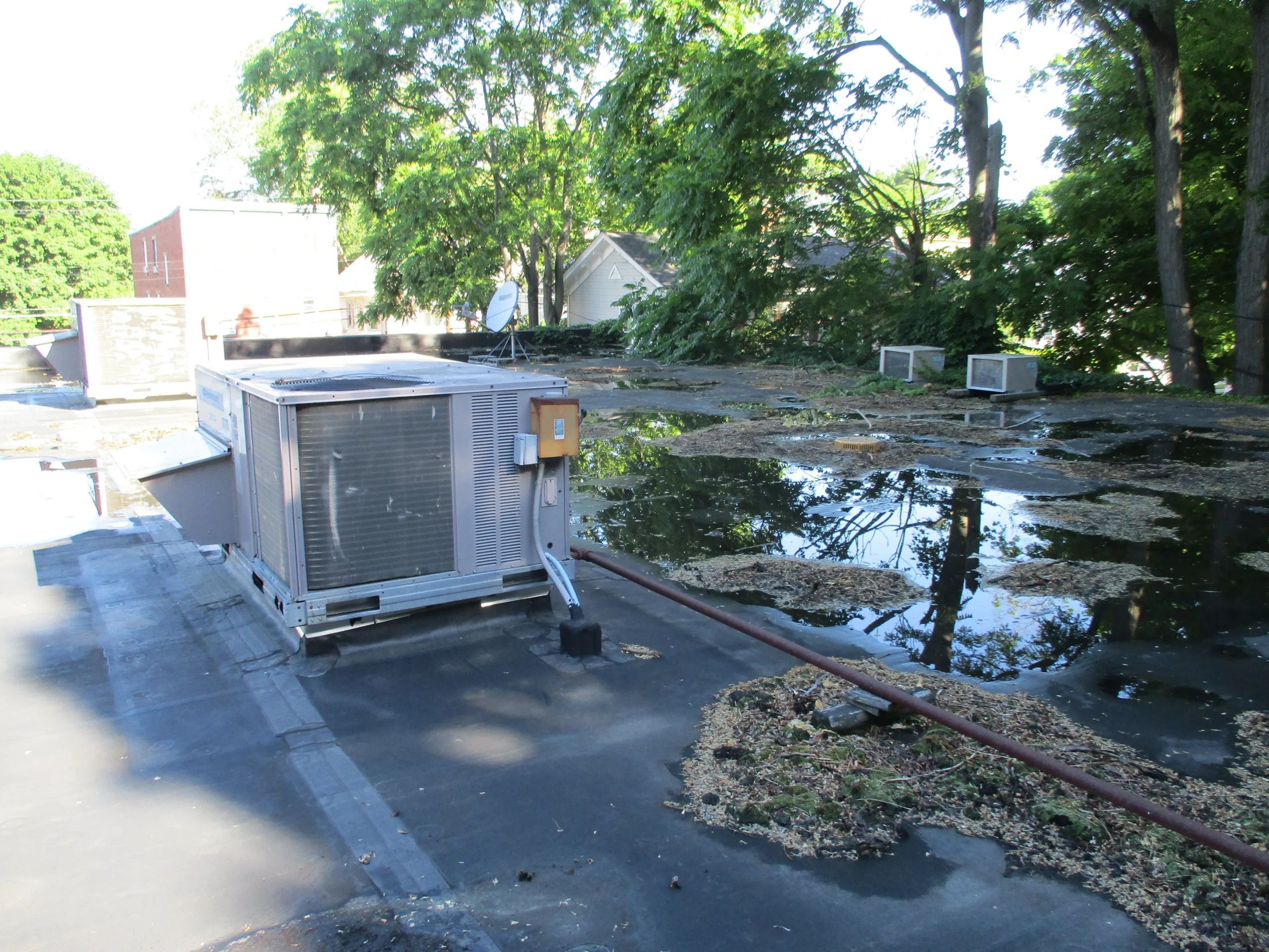 Ponding on flat roof in Connecticut